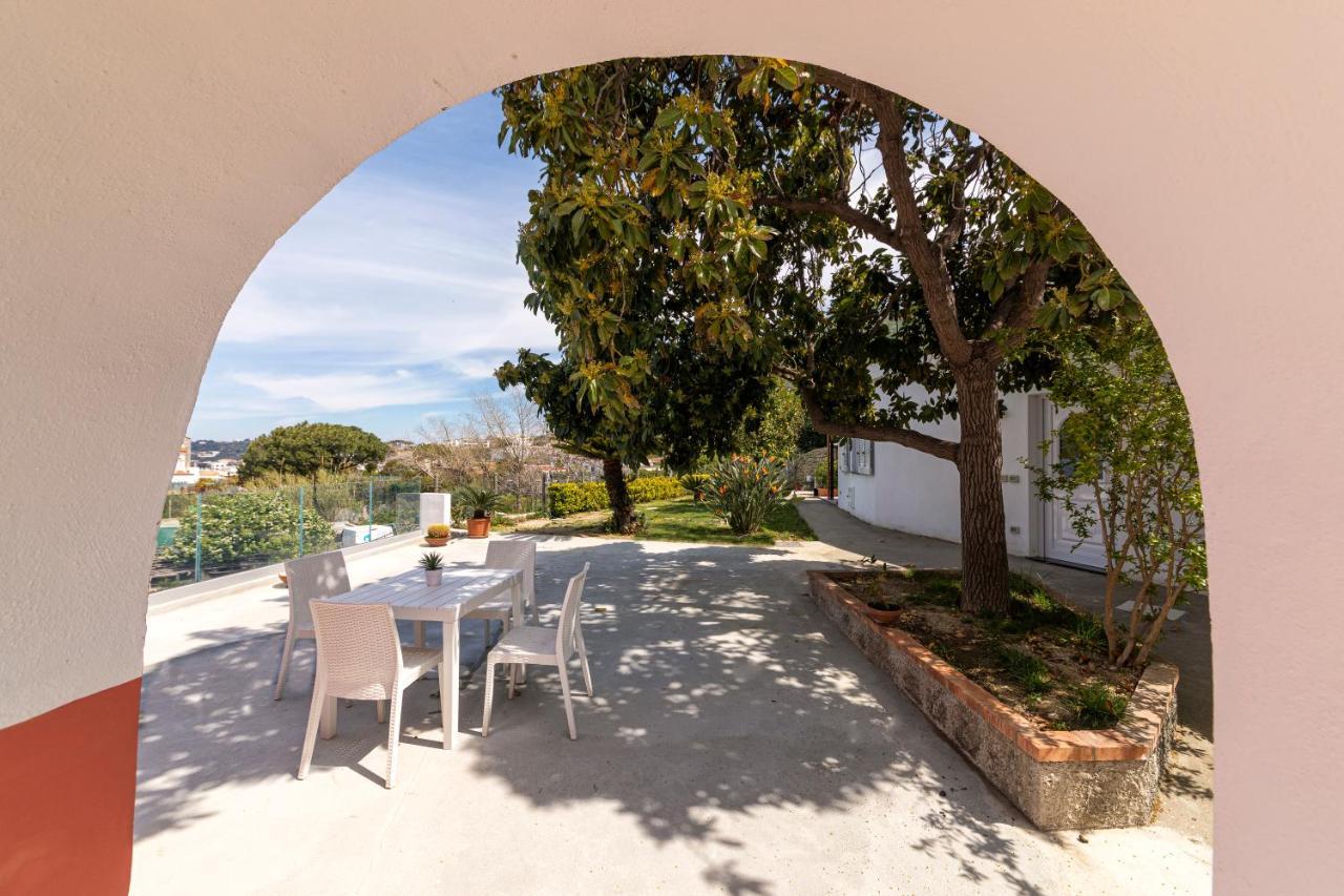 Casa Degli Aranci Villa Forio di Ischia Екстериор снимка