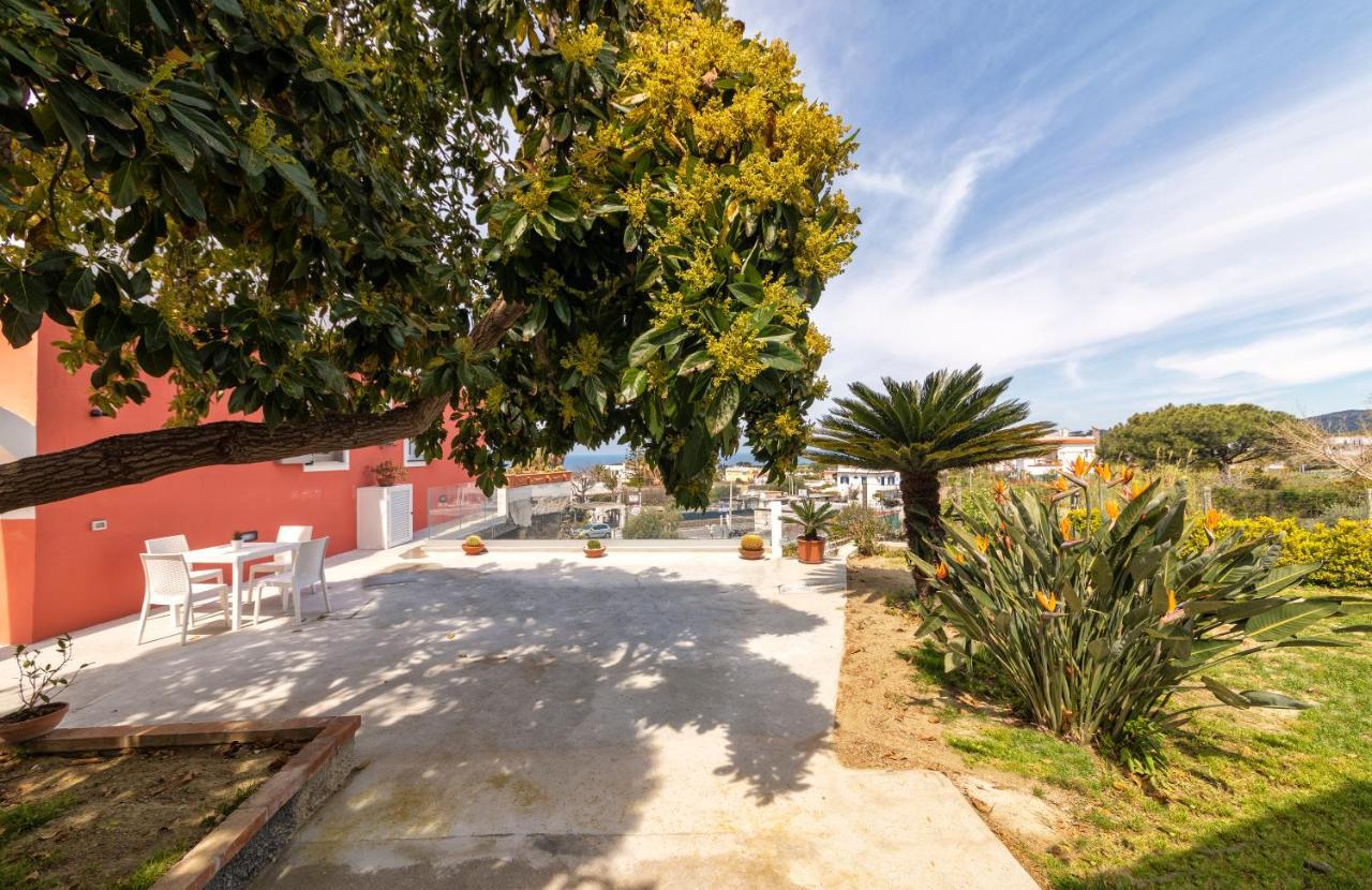 Casa Degli Aranci Villa Forio di Ischia Екстериор снимка
