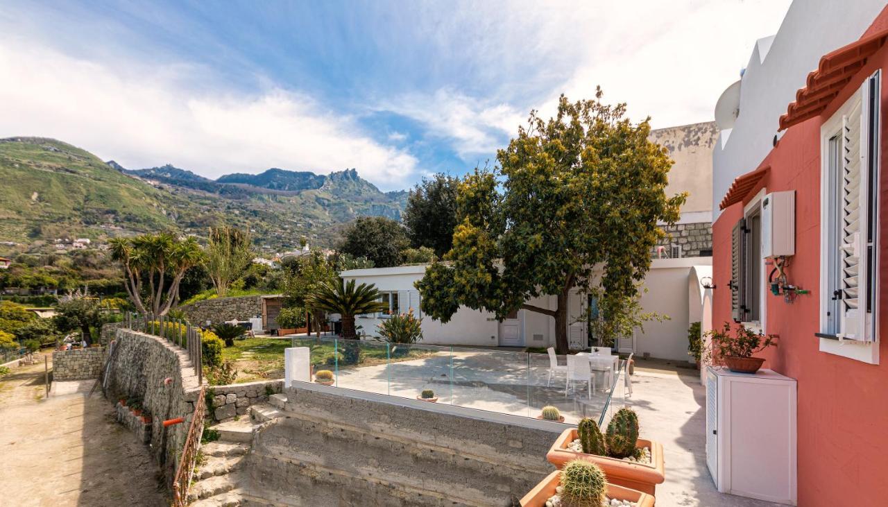 Casa Degli Aranci Villa Forio di Ischia Екстериор снимка