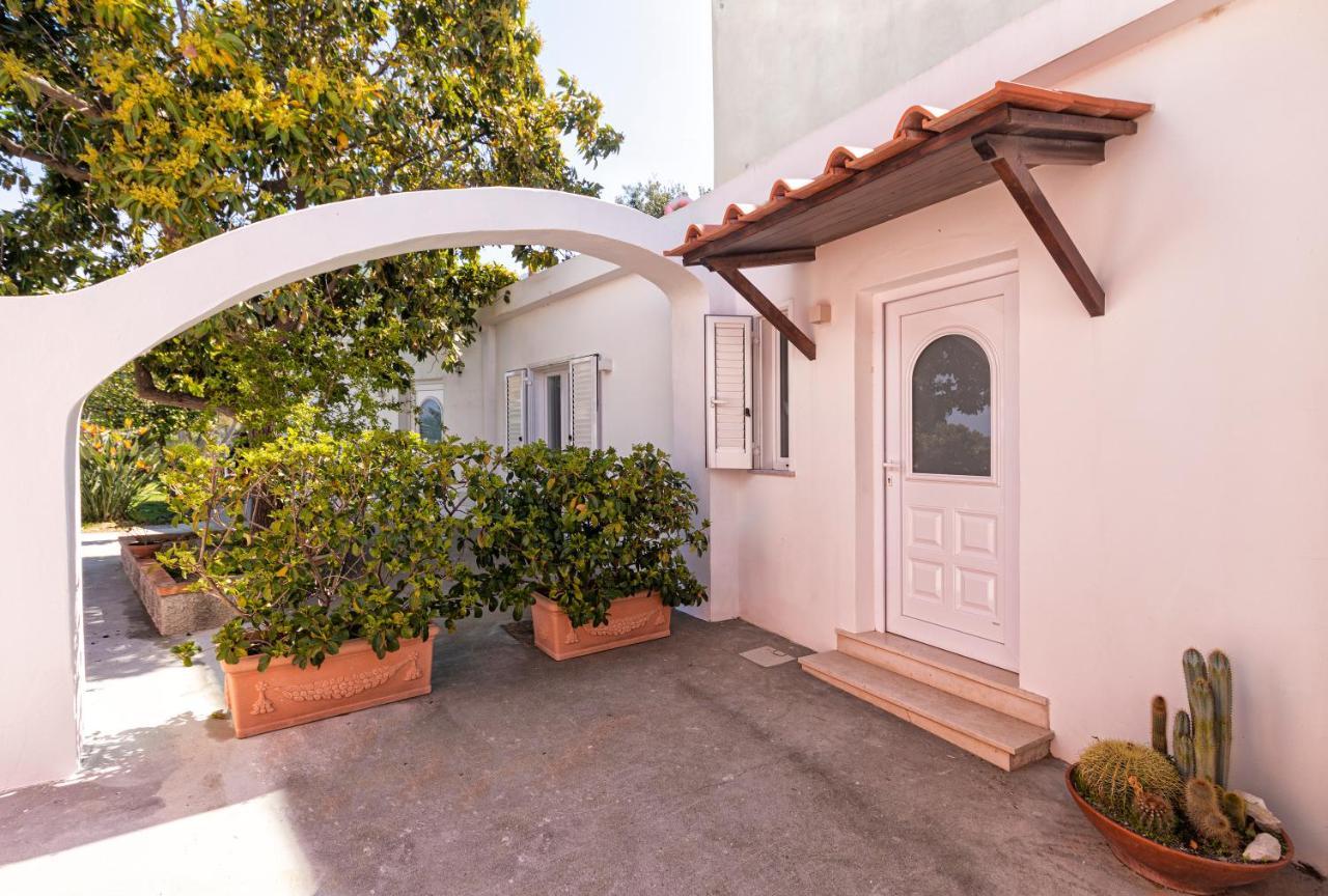 Casa Degli Aranci Villa Forio di Ischia Екстериор снимка
